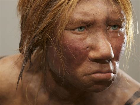 neanderthal woman wilma
